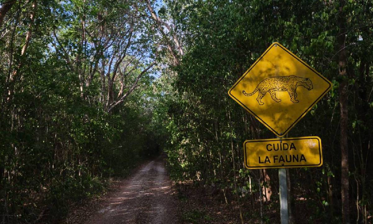 Caminos verdes una iniciativa del gobierno estatal.