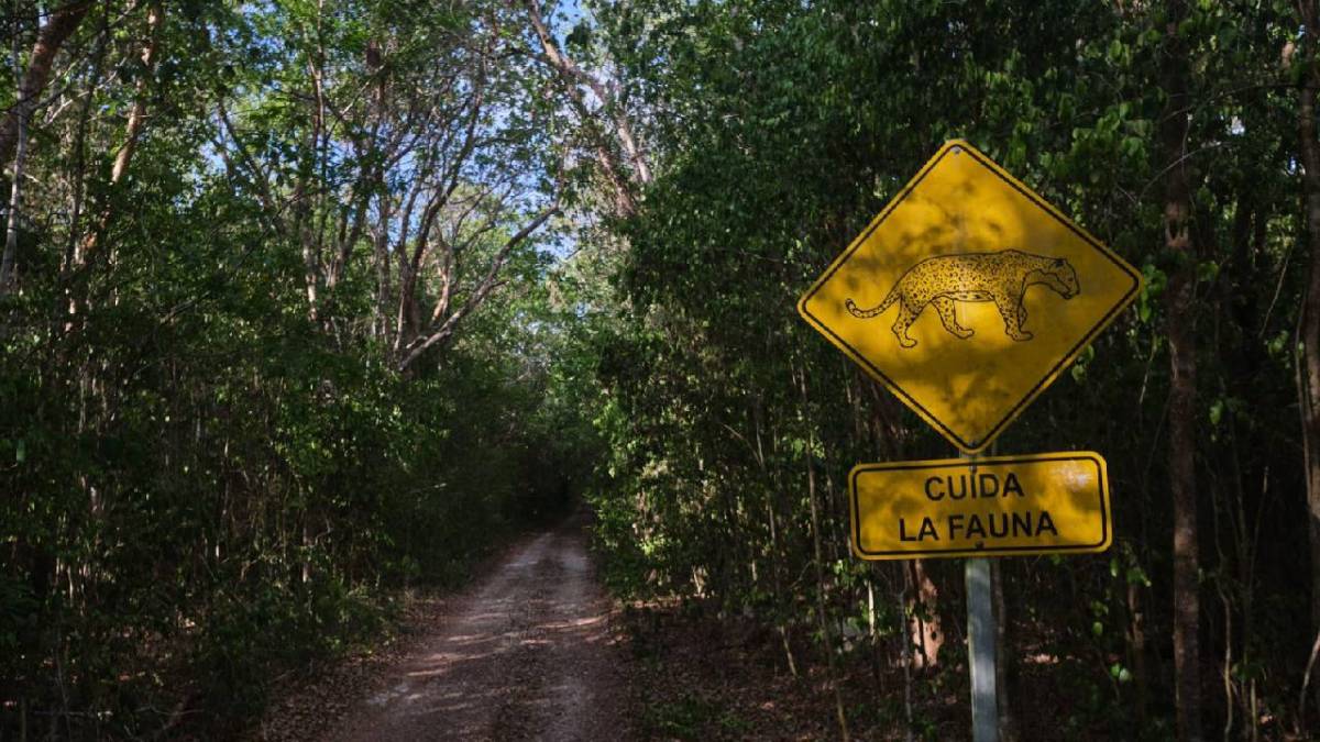 Caminos verdes una iniciativa del gobierno estatal.