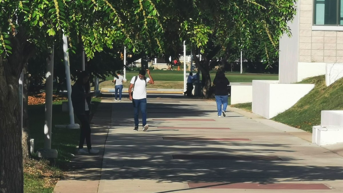 Estudiante de la Uqroo.