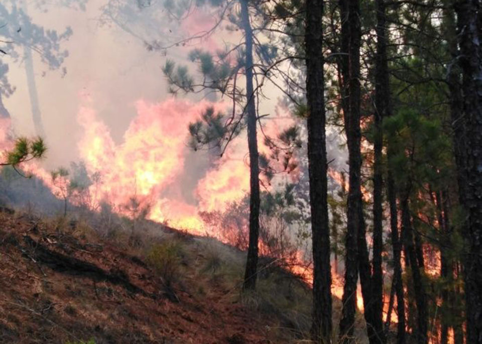 Evacuan dos mil personas por voraz incendio en Las Vigas, Veracruz