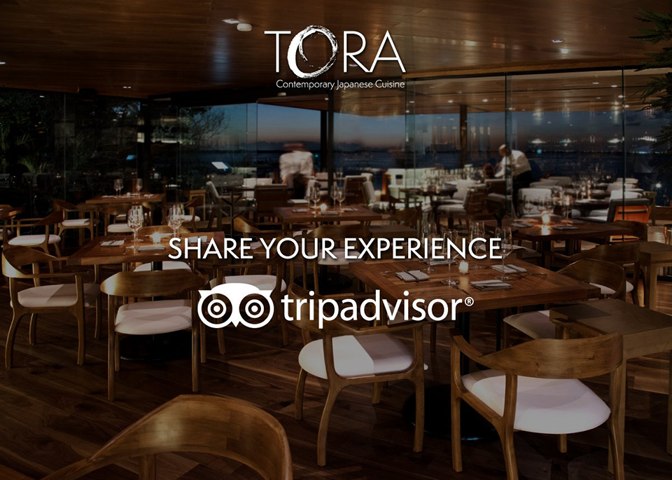 Tora; sabores salvajes