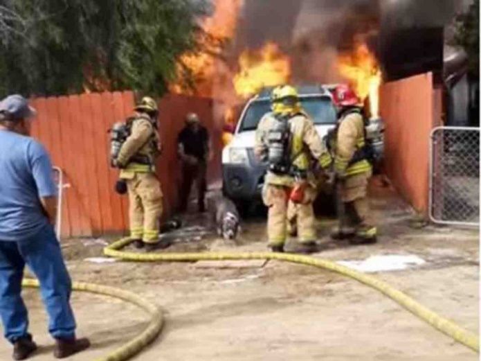 Hombre arriesga su vida para salvar a su perrita en incendio