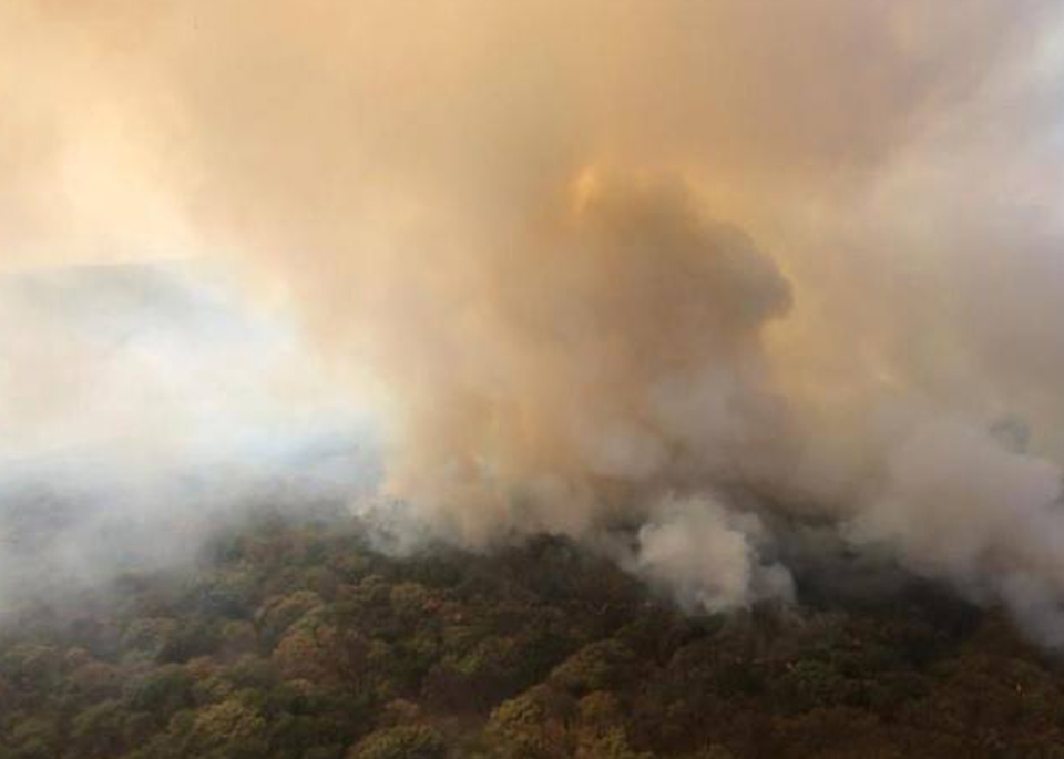 Elementos de Protección Civil y Bomberos de Zapopan, Jalisco, combaten un incendio forestal en el Área Natural Protegida del Bosque de la Primavera, en la zona de San José de la Montaña.