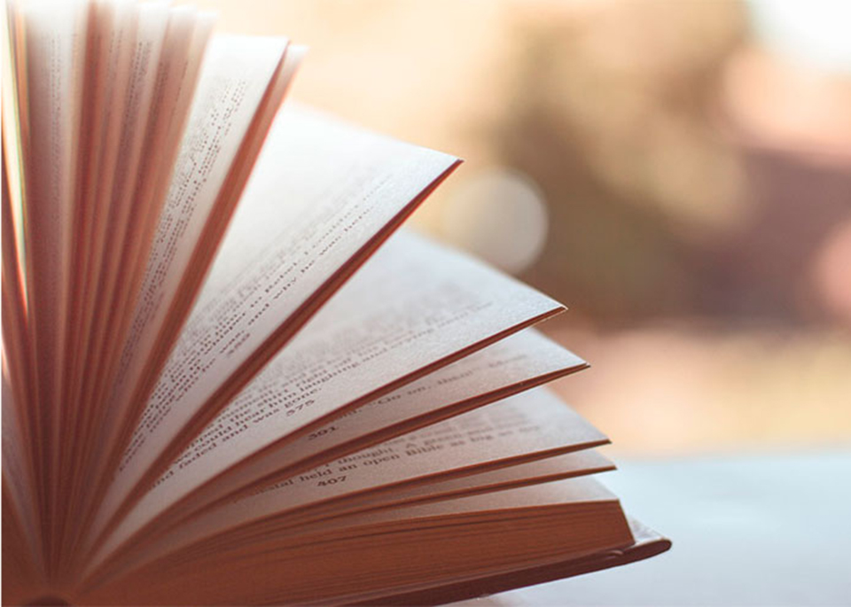 En el año de 1995, la UNESCO eligió el día 23 de abril para rendir un homenaje mundial al libro y sus autores.