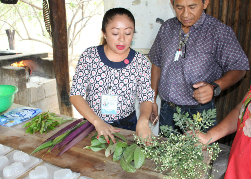 Una egresada de la carrera de Salud Comunitaria de la Universidad Intercultural Maya de Quintana Roo desarrolló un jabón que tiene propiedades para, según ella, curar males dermatológicos como el acné o salpullido.