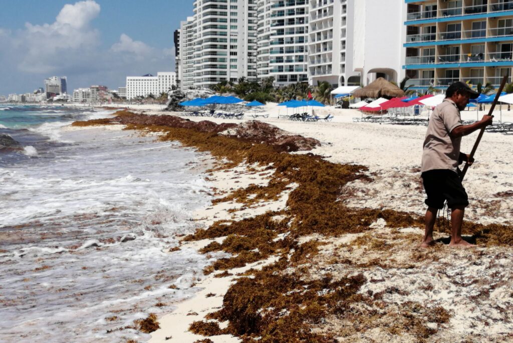 Por derecho de saneamiento ya ingresaron 17 mdp: Mara