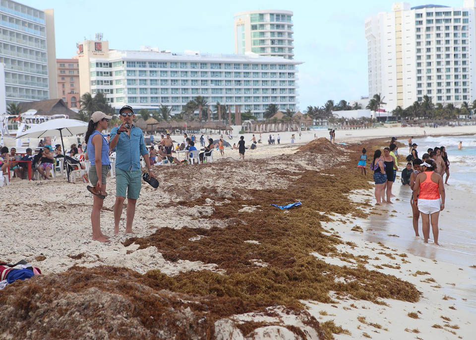 Requerimos 80 mdp cada mes para combatir el sargazo: Sema