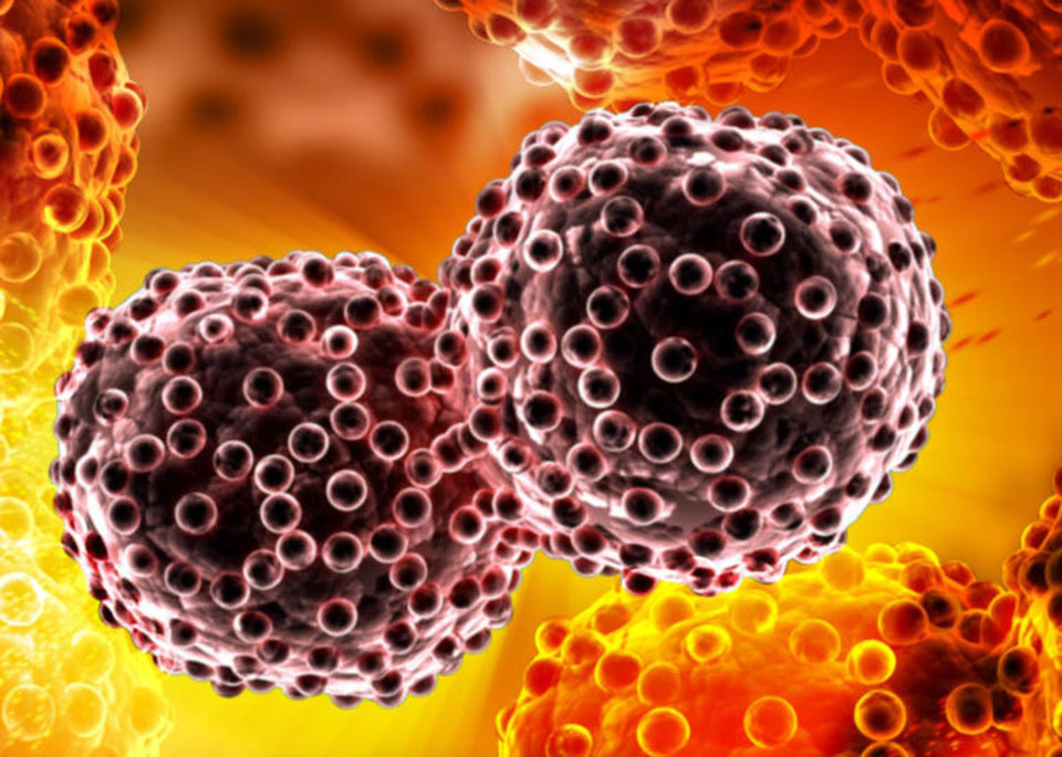 Crean medicamento que evita propagación del cáncer y reduce tumores