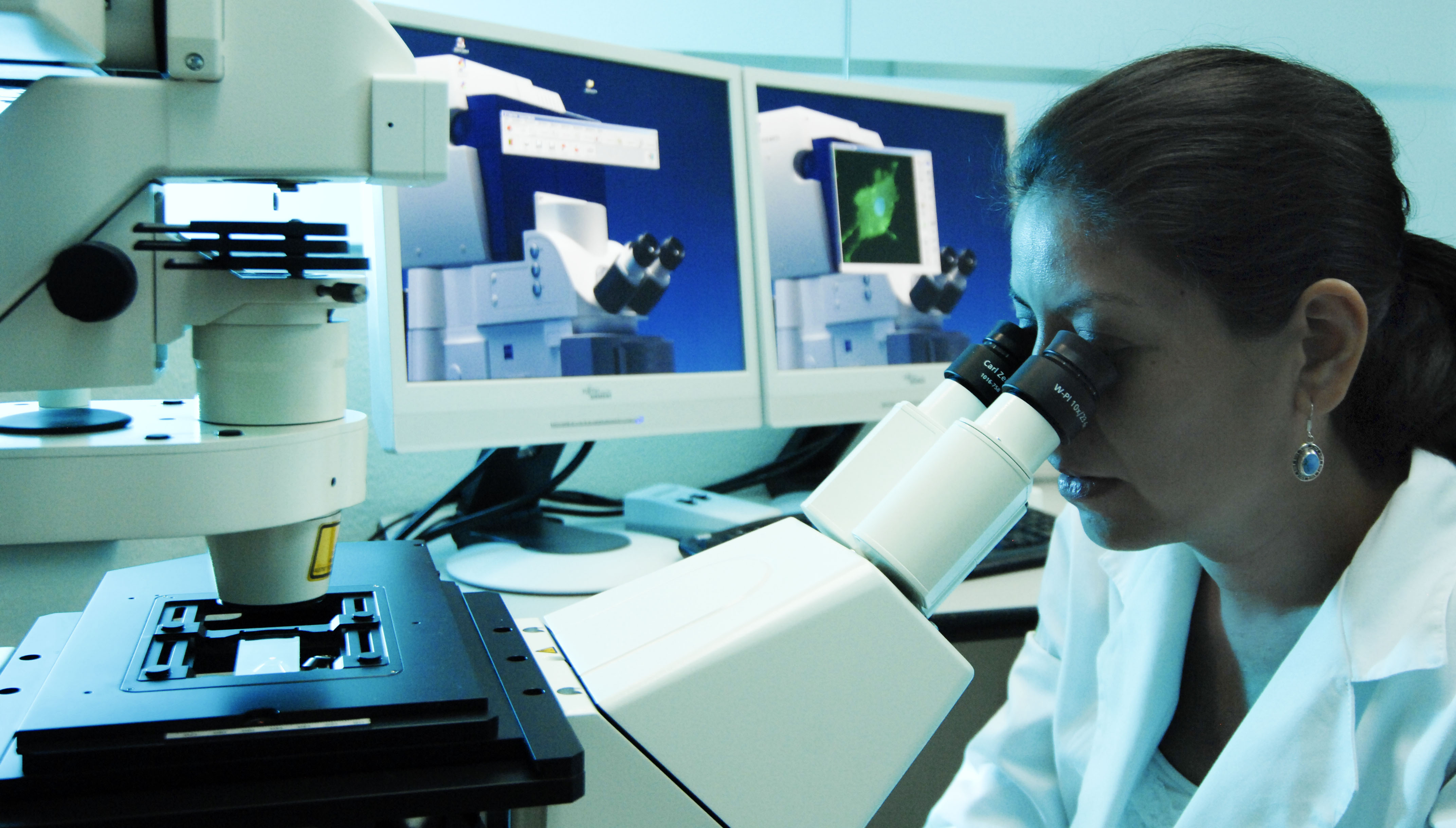 Alentador panorama para la ciencia y tecnología en 2020