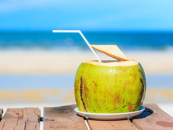 Comercialización de cocos