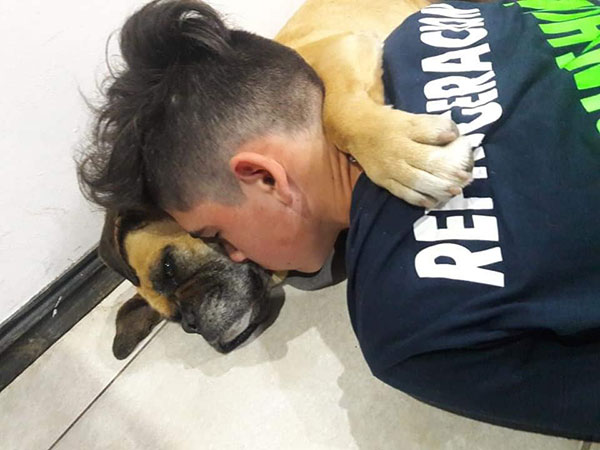 Viral: Perrita muere en brazos de su dueño por miedo a la pirotecnia