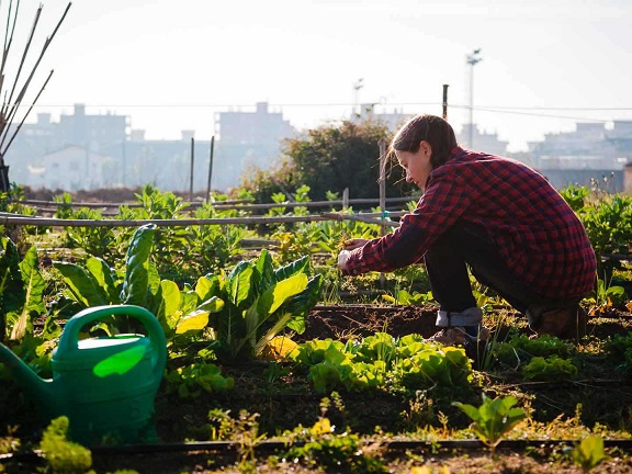 Te decimos cómo mejorar el bienestar medioambiental de tu barrio