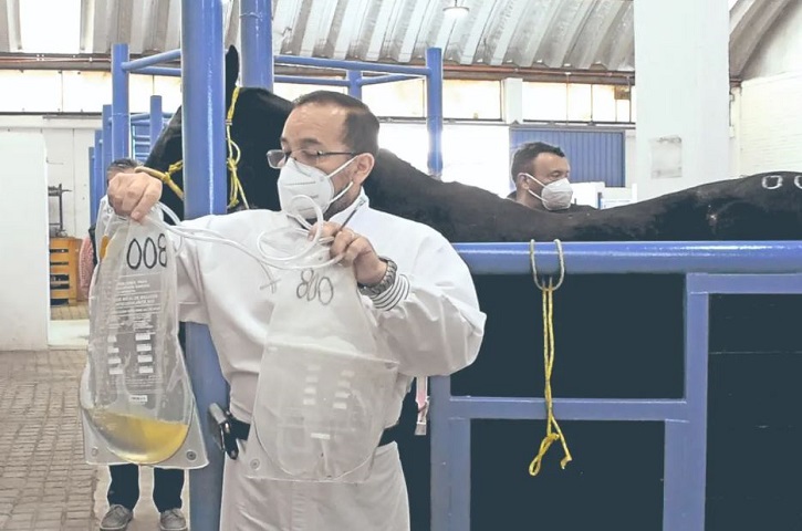 Birmex trabaja para producir vacuna mexicana