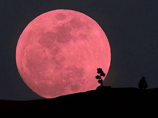 Todo lo que necesitas saber sobre la superluna rosa