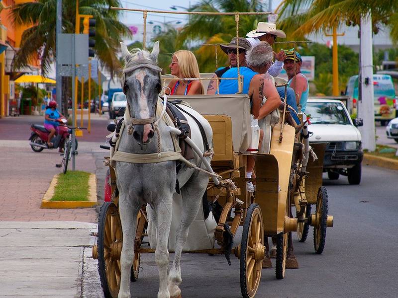 Caleseros, con trabas en Cozumel para renovar