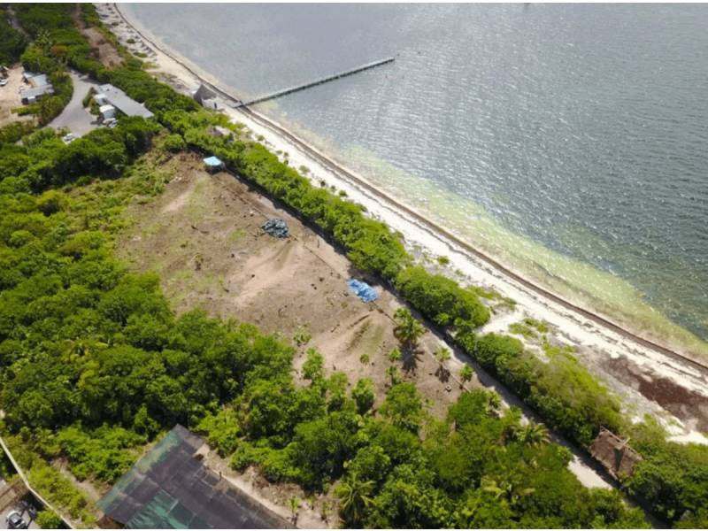 Desmienten a Grupo RIU