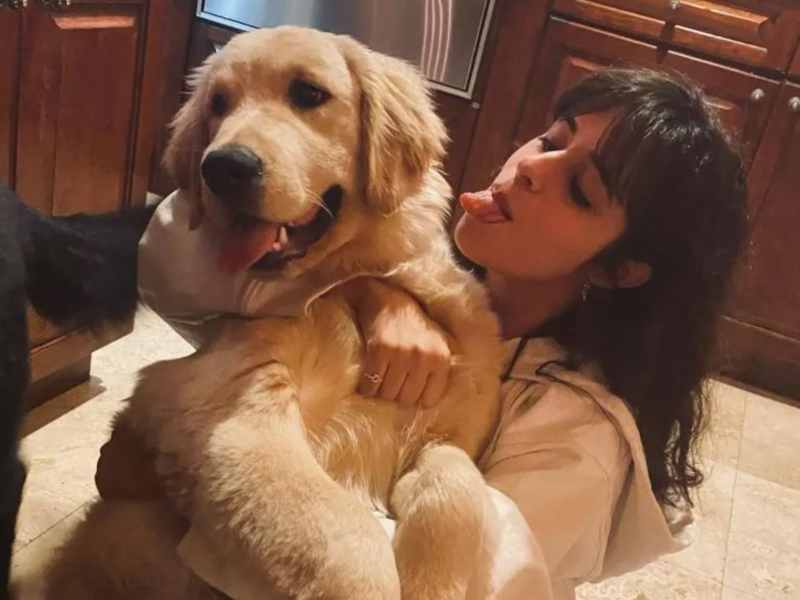Perrito de Camila Cabello supera los 26 mil seguidores tras abrir Instagram