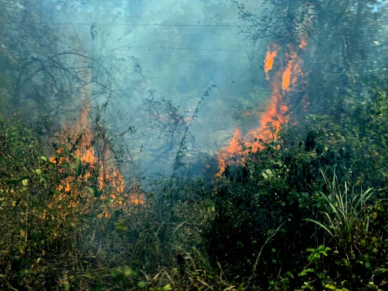 Sofocan incendio en Puerto Morelos