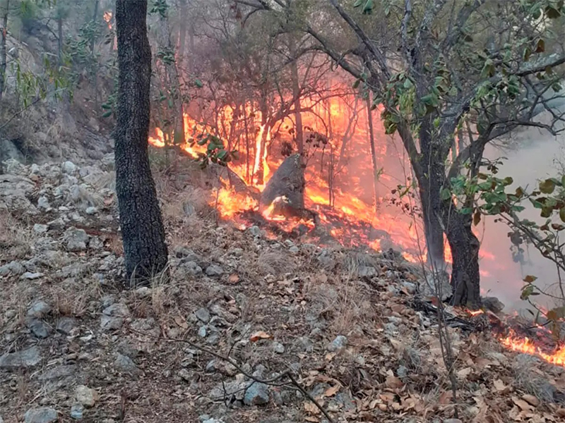 Urgen especialistas a aumentar el presupuesto contra incendios