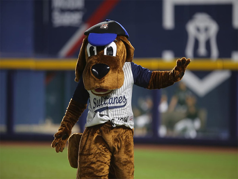 Sultanes pide ayuda para encontrar a su botarga que fue robada