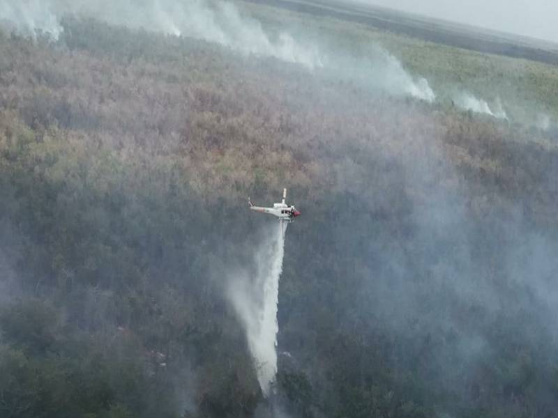 Activos, 5 incendios forestales en la entidad