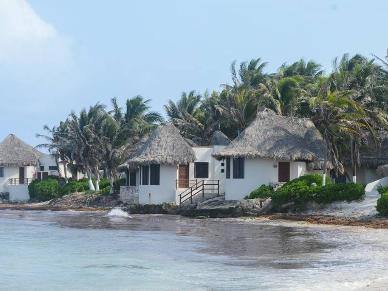 Afecta sargazo a cuatro playas de Solidaridad