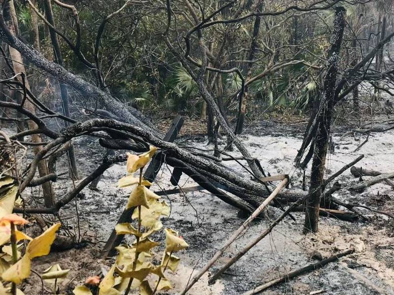 Aniquilan incendio forestal en Sian KaÔÇÖan