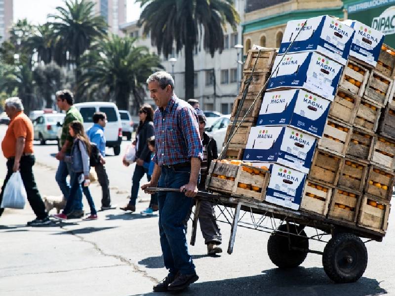 Crece más de 12 millones la población económicamente activa en México INEGI
