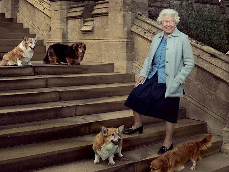 Esta desbastada. Muere perrito de la Reina Isabel II