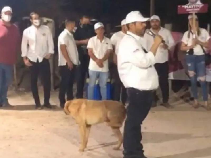 Perrito 'marca su territorio' y orina en la pierna de candidato en Sonora