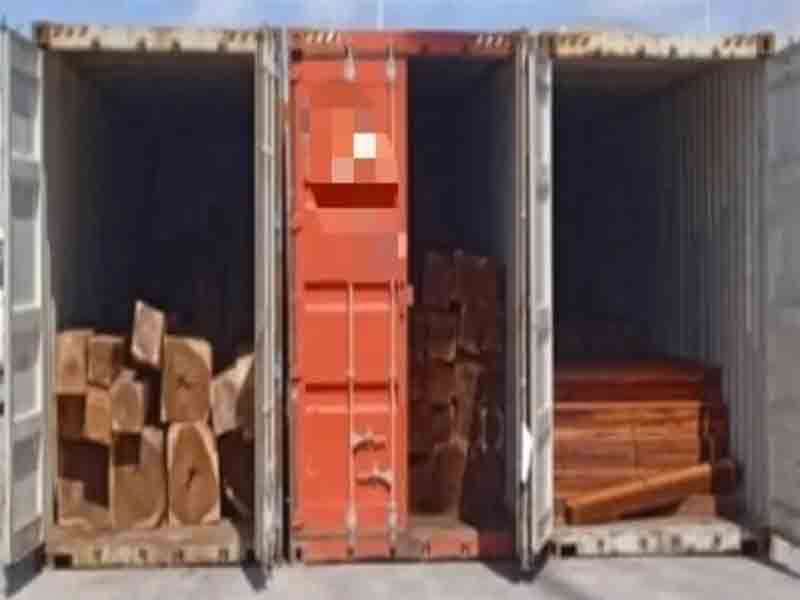 FGR asegura en Yucatán madera valuada en más de 3 mdd