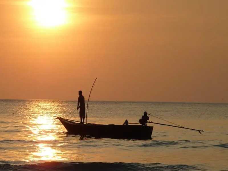 Capacitan a pescadores de camarón para proteger a tortugas marinas