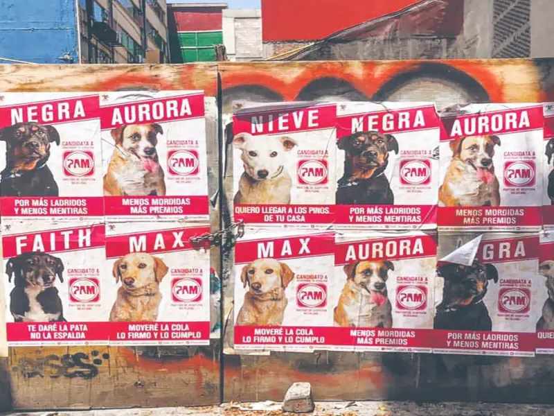 Todos ganan con el partido perrón