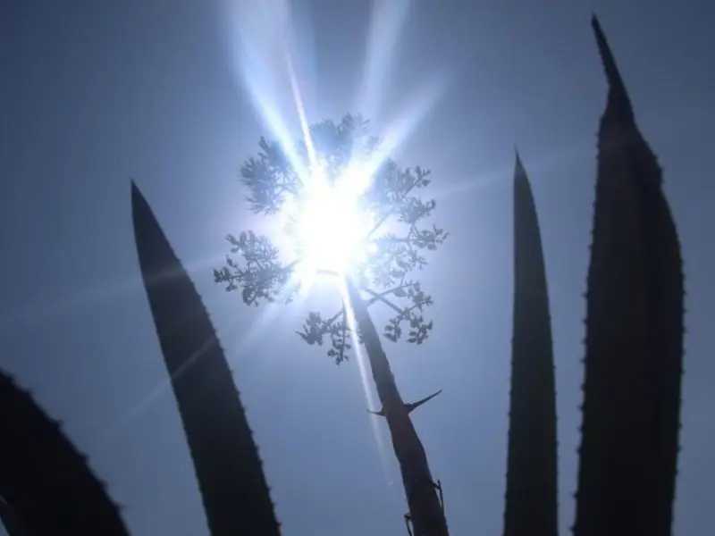 ¡No te lo pierdas!, el Sol se detendrá el próximo 20 de junio