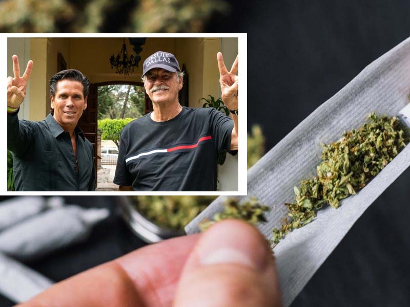 Palazuelos y Fox se asocian para crear los Oxxos de la marihuana