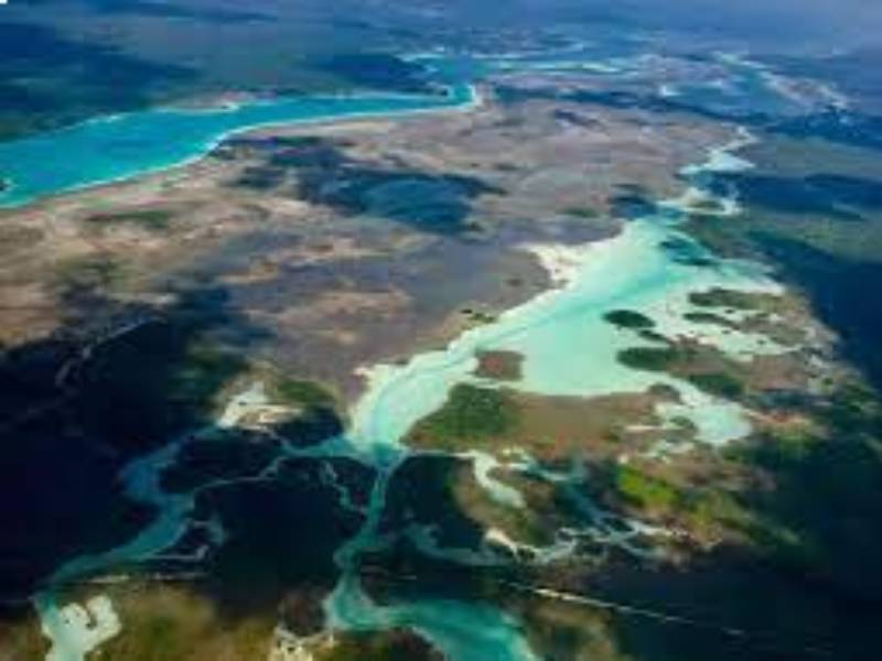 Quintana Roo preserva sus riquezas naturales para que sean perdurables