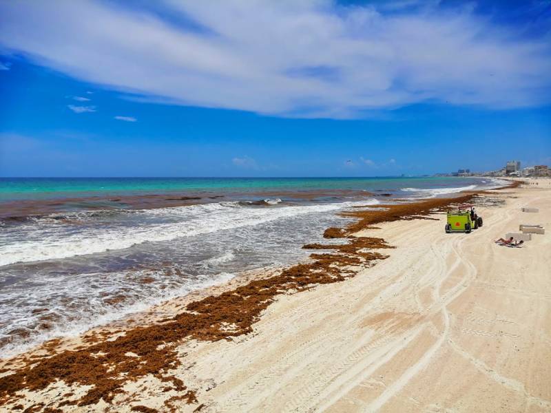 Hacen llamado de auxilio por sargazo