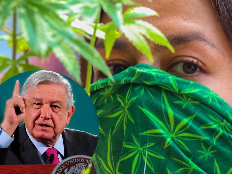 Si no funciona uso lúdico de la marihuana, enviaré iniciativa de ley AMLO
