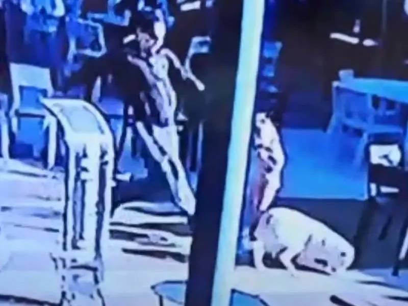 VIDEO: Un hombre mata a un perro de una patada