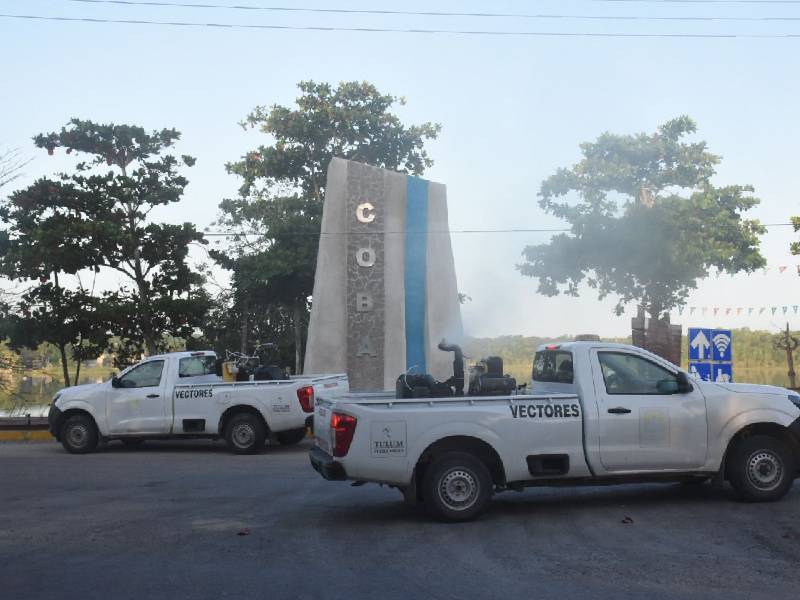 fumigación