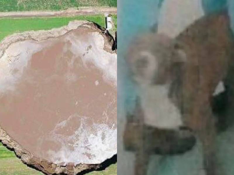 ¡Rescaten a Spay! El perrito es la primera víctima del socavón de Puebla