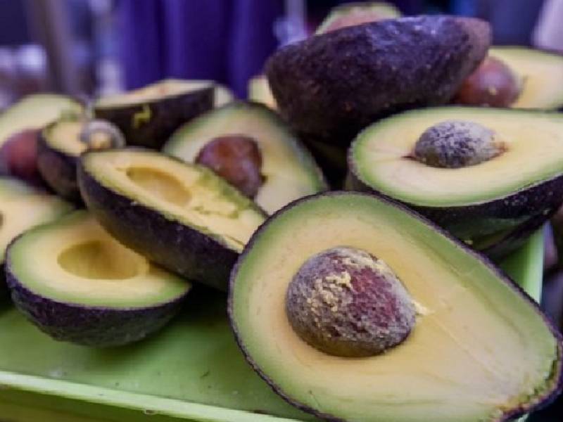 El precio del aguacate aumenta. Se vende hasta en $90 pesos