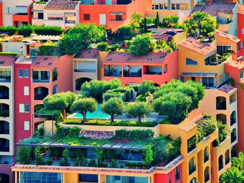 Gracias a los jardines verticales y los huertos en las azoteas las temperaturas llegan a disminuir entre 3.6 y 11.3 centígrados en los picos de calor.