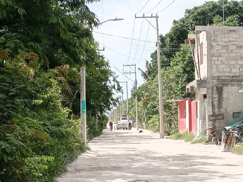 Las Fincas
