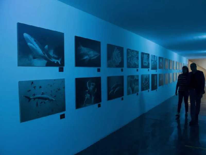 Universum reabre sus puertas, se alista con todos los protocolos sanitarios