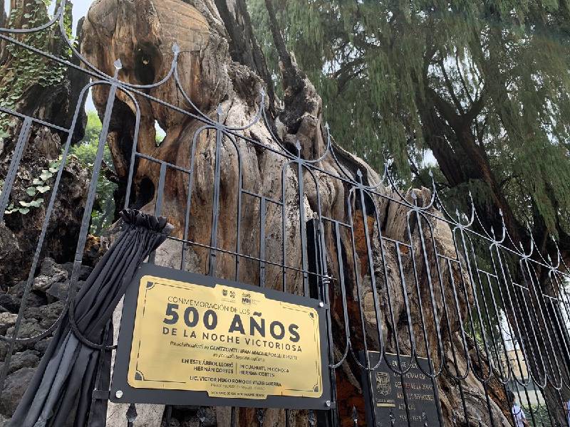 árbol