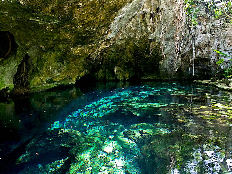 Niegan contaminación en cenotes en la Península de Yucatán