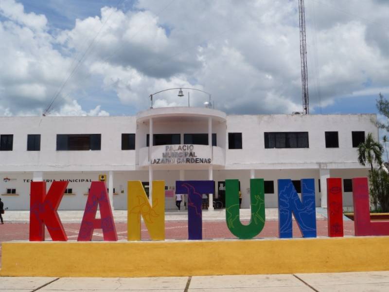 consulta