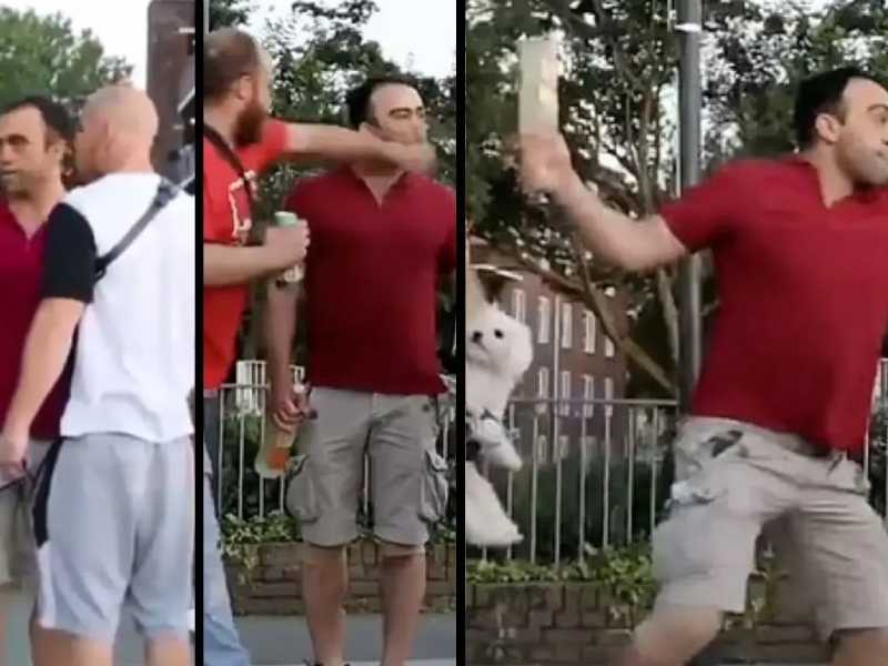 Video. Con botellazo en la cabeza termina pelea de perros