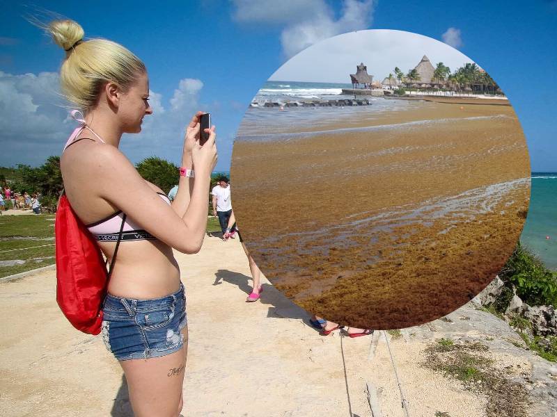 Turistas ignoran recale de sargazo; siguen las reservaciones